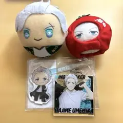 WIND BREAKER 梅宮一　まとめ