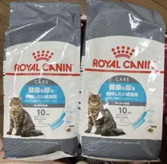 Item thumbnail for item f877b490-5669-457a-8fe6-4516db94da7d