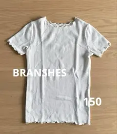 BRANSHES 150 メロウ半袖コンパクトリブニット