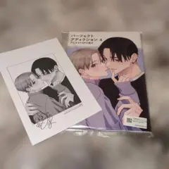 パーフェクトアディクション4　 アニメイトセット小冊子　特典のみ