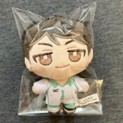 ハイキュー　及川徹　ぬいパル