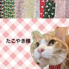 たこやき様 リクエスト 3点 まとめ商品