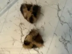 ハート型ファー ヘアアクセサリー　猫のサムネイル