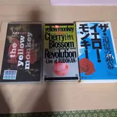 Item thumbnail for item 78352413-617a-4d51-8680-4a6dec558824