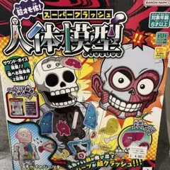 動作確認済⭐︎スーパークラッシュ 人体模型のサムネイル