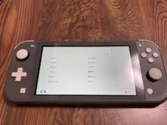 Nintendo Switch Lite グレー 本体