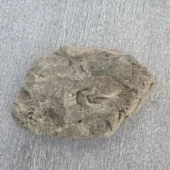 天然石 鑑賞石 庭石 飾り石 化石 川 - メルカリ
