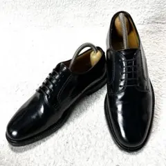 【極美品✨】REGAL プレーントゥ レースアップ ビジネス 革靴 25cm