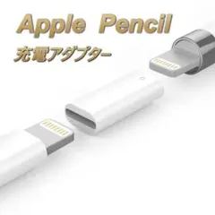 Apple Pencil充電アダプター USBケーブル用変換アダプター ⊲⊳
