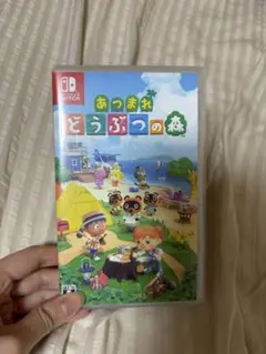 Nintendo Switch どうぶつの森　美品　ケース付き