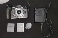 OLYMPUS OM-D E-M1 Mark II 標準ズーム、バッテリーセット - メルカリ