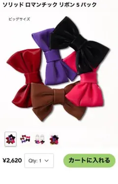 CROCS ジビッツ　リボン