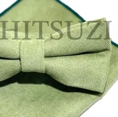 Item thumbnail for item 383497cb-48fb-476e-a79b-6d9e6e5987b8