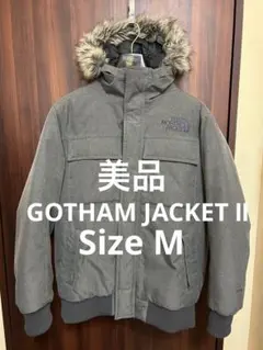 【美品】ノースフェイス ダウン ゴッサムジャケットⅡ グレー サイズM
