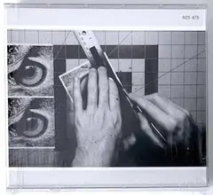 サカナクション アダプト NF限定版 商品詳細ページ | sakanaction ONLINE STORE | 【NF member 完全生産