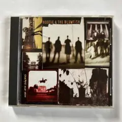 Hootie & The Blowfish Cracked Rear View