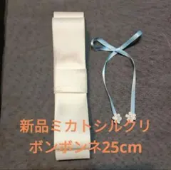 Item thumbnail for item 3e469208-0a9a-4a03-abe8-bcf72d5d20b0