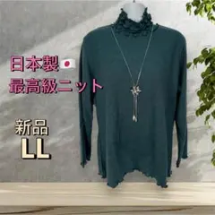 Item thumbnail for item 0b053912-9eac-4942-a658-de6f2ecd8aa9