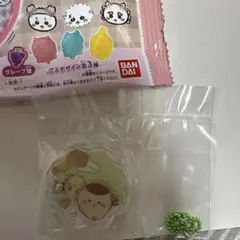 きゃらシャカ　チャーム