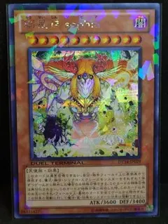2026年最新】創星神sophia シークレット DTCの人気アイテム