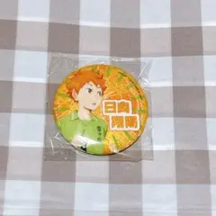 ハイキュー 思い出シャイニー缶バッジ 日向翔陽