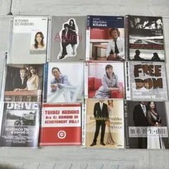 レア商品。美品。アムウェイ　ビジネスツール　DVD25枚、CD4枚、計29枚 レア商品。美品。アムウェイ ビジネスツール DVD25枚、CD4枚、計
