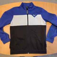 PUMA キッズ ジャージ 上下セット　150