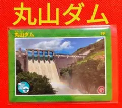 殿ダム ver1.0 ダムカード レア 殿ダム ver1.0 ダムカード レア 殿ダム ver1.0 ダムカード レア Amazon