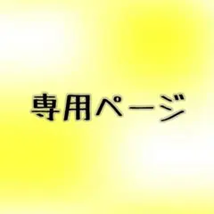 N13様　専用