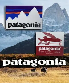 【official】Patagonia △ 防水ステッカー⑤