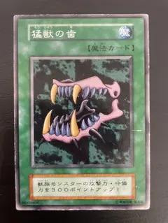 遊戯王 猛獣の歯 - メルカリ
