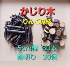 Item thumbnail for item a05d121e-0a48-4f83-9269-a734dfa51974