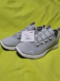 Item thumbnail for item a52b7382-193d-46bc-a979-25ab5ec7aef3