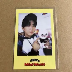 straykids スキズ チャンビン ポラロイド シーグリ