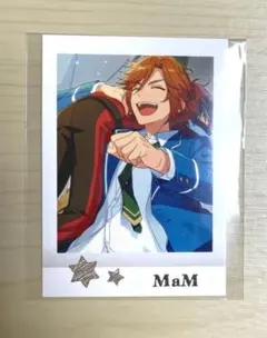 2025年最新】三毛縞斑の人気アイテム - メルカリ