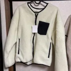 Item thumbnail for item 0c067d84-601d-4a20-b7c3-66475166a1f1