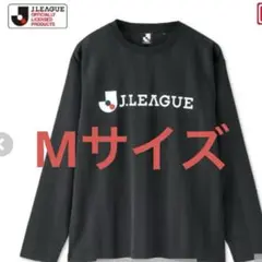 Item thumbnail for item 55f19adf-beed-4908-ad57-4072871ad9a1