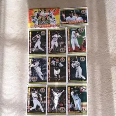 阪神タイガース2003年優勝ポストカード[限定品]