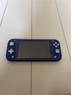 F*ク様 Nintendo Switch Lite 青 ジャンク