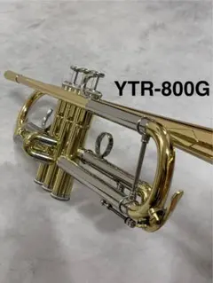 2025年最新】ヤマハトランペット800の人気アイテム - メルカリ