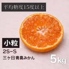 【甘さ保証】三ヶ日青島みかん｜平均糖度15度以上｜小粒2S-S｜産地直送5kg