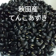 てんこ小豆 てんこ小豆 | 豆なブログ