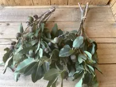 ぶらっくにゃんにゃん様 リクエスト 2点 まとめ商品