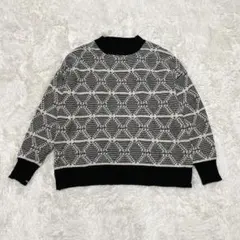 earth music&ecology ジャカードニットセーター　プルオーバー