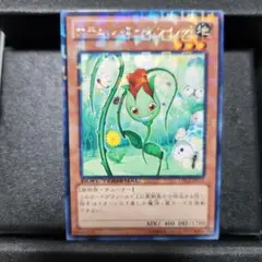 2026年最新】ナチュルローズウィップの人気アイテム - メルカリ