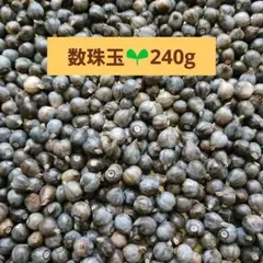 K K様 リクエスト 3点 まとめ商品