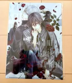ヴァンパイア騎士 memories LaLaDX 全プレ クリアファイル 2点 2025年最新】ヴァンパイア騎士 クリアファイルの人気アイテム - メルカリ
