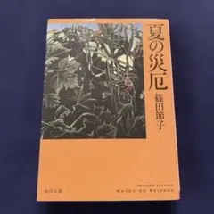 Item thumbnail for item 728186b6-1a7a-43bf-8984-d6368e370735