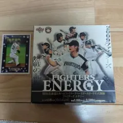 BBM 北海道日本ハムファイターズ ベースボールカードセット2009 - メルカリ