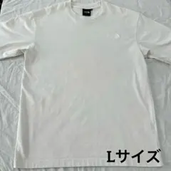 ノースフェイス　ホワイト　Tシャツ　L NT32039